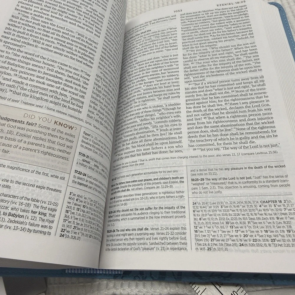 ESV Holy Bible Student Study Bible Sky Blue Ivy Design Imitation Leather New